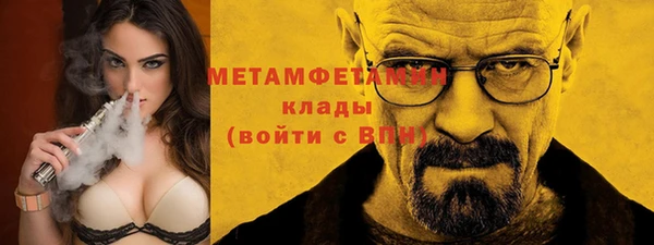 гидра Кодинск