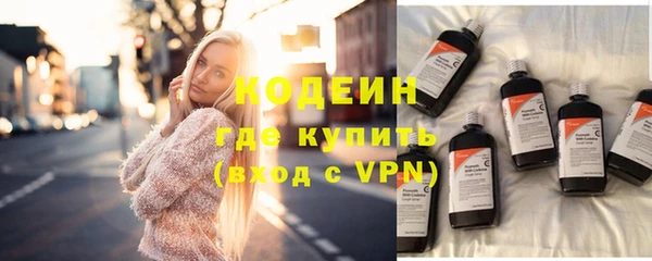 гидра Кодинск