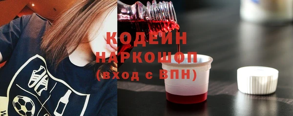 гидра Кодинск