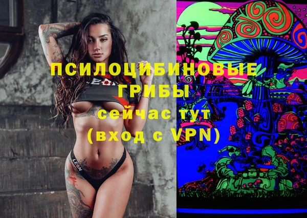 марки lsd Козельск