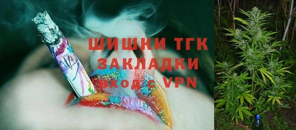 гидра Кодинск