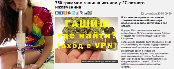 гидра Кодинск