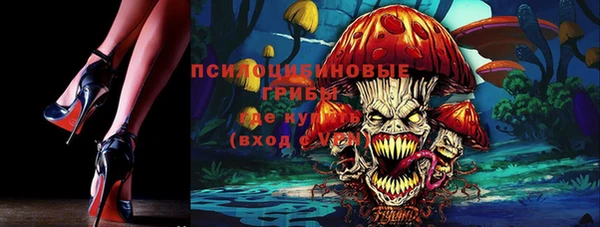 марки lsd Козельск