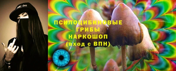 ALPHA-PVP Козловка