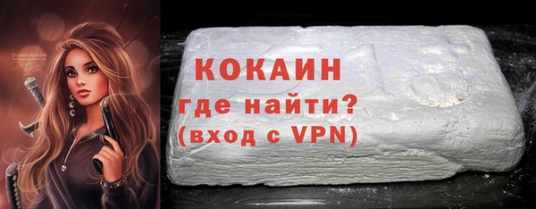 гидра Кодинск
