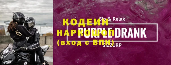 гидра Кодинск